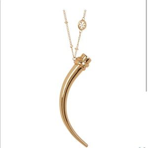 Classic wrapped horn necklace